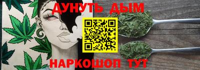 гидропоника Будённовск