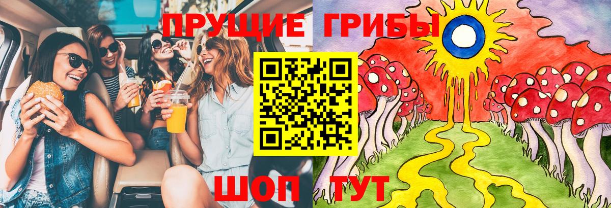 Псилоцибиновые грибы Cubensis Обнинск