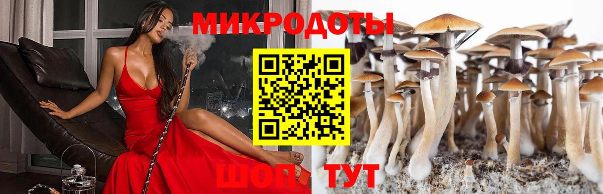 Обнинск  Псилоцибиновые грибы GOLDEN TEACHER  Вход с VPN 